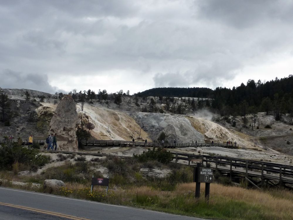 Yellowstone Mammoth Hotsprings (96).JPG